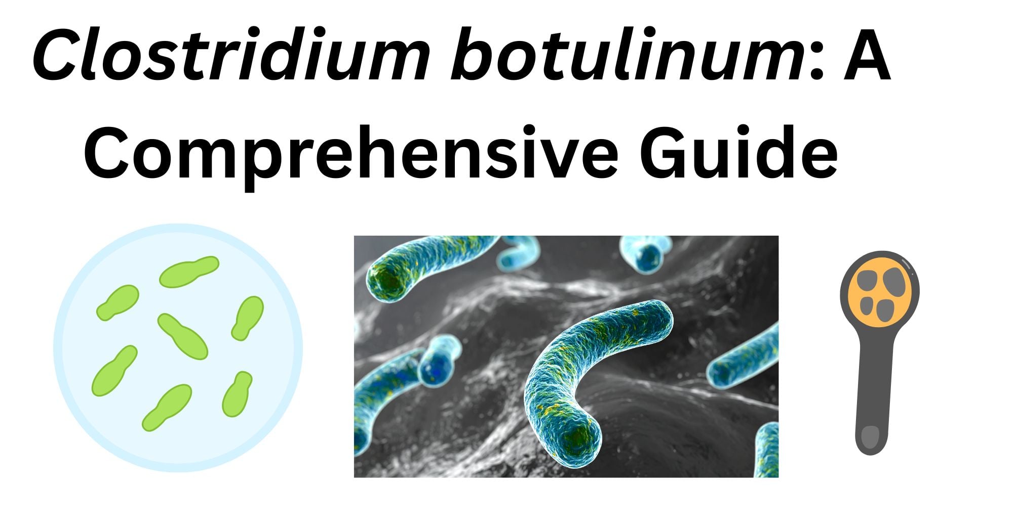 Clostridium botulinum Clostridium botulinum