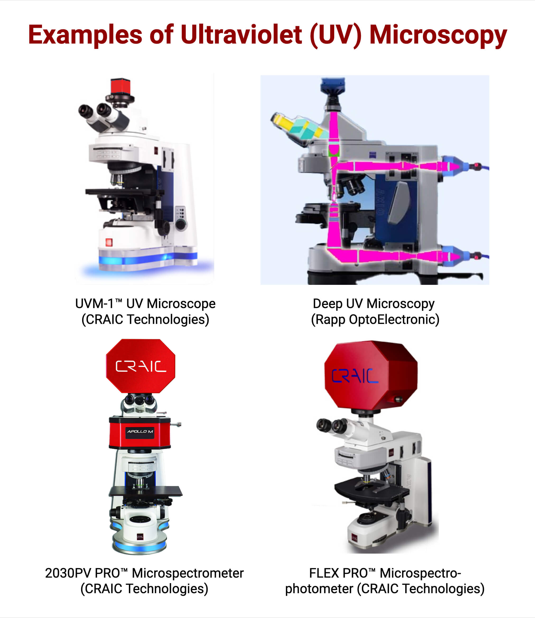 Examples of Ultraviolet UV Microscope Examples of Ultraviolet (UV) Microscope