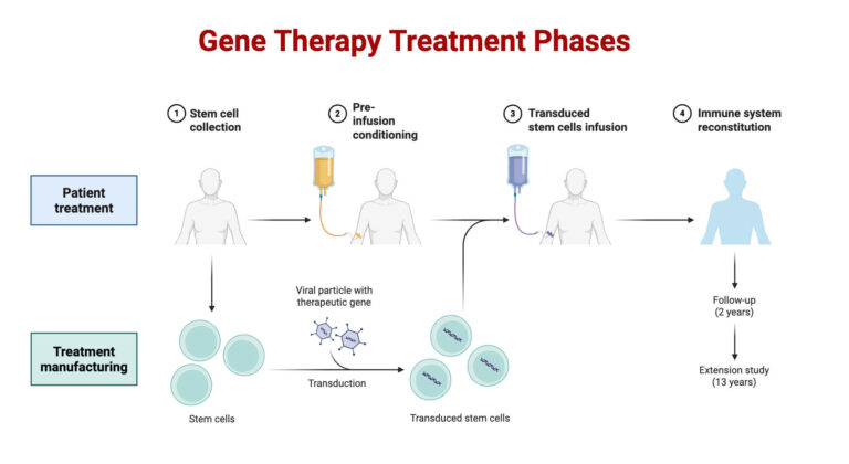 Gene Therapy: Principles, Types, Methods, Vectors, Steps, Applications