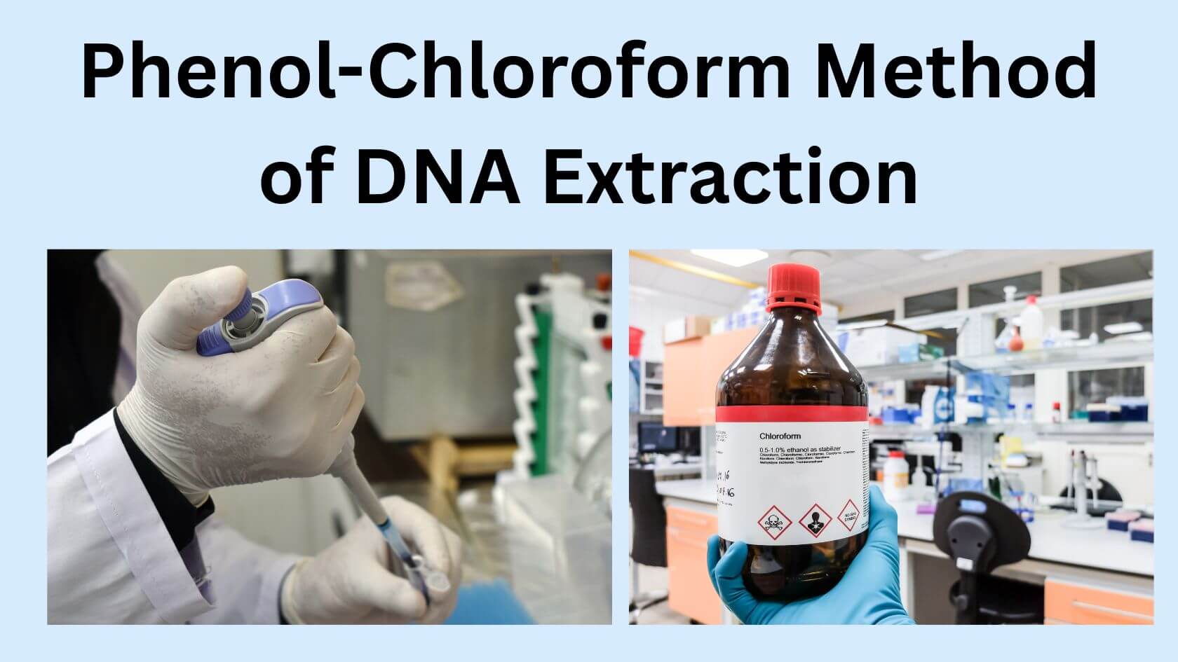 Phenol Chloroform Method of DNA Phenol-Chloroform Method of DNA Extraction