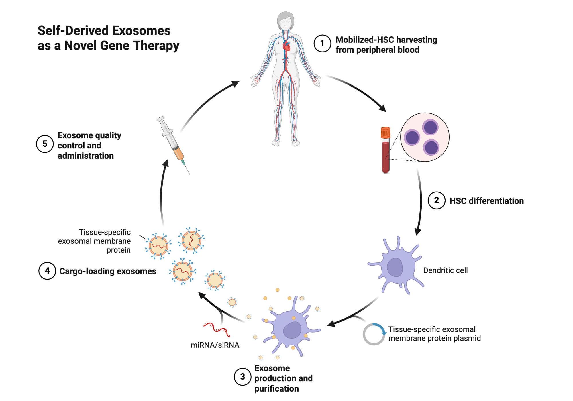 Self Derived Exosomes as a Novel Gene Therapy Self-Derived Exosomes as a Novel Gene Therapy