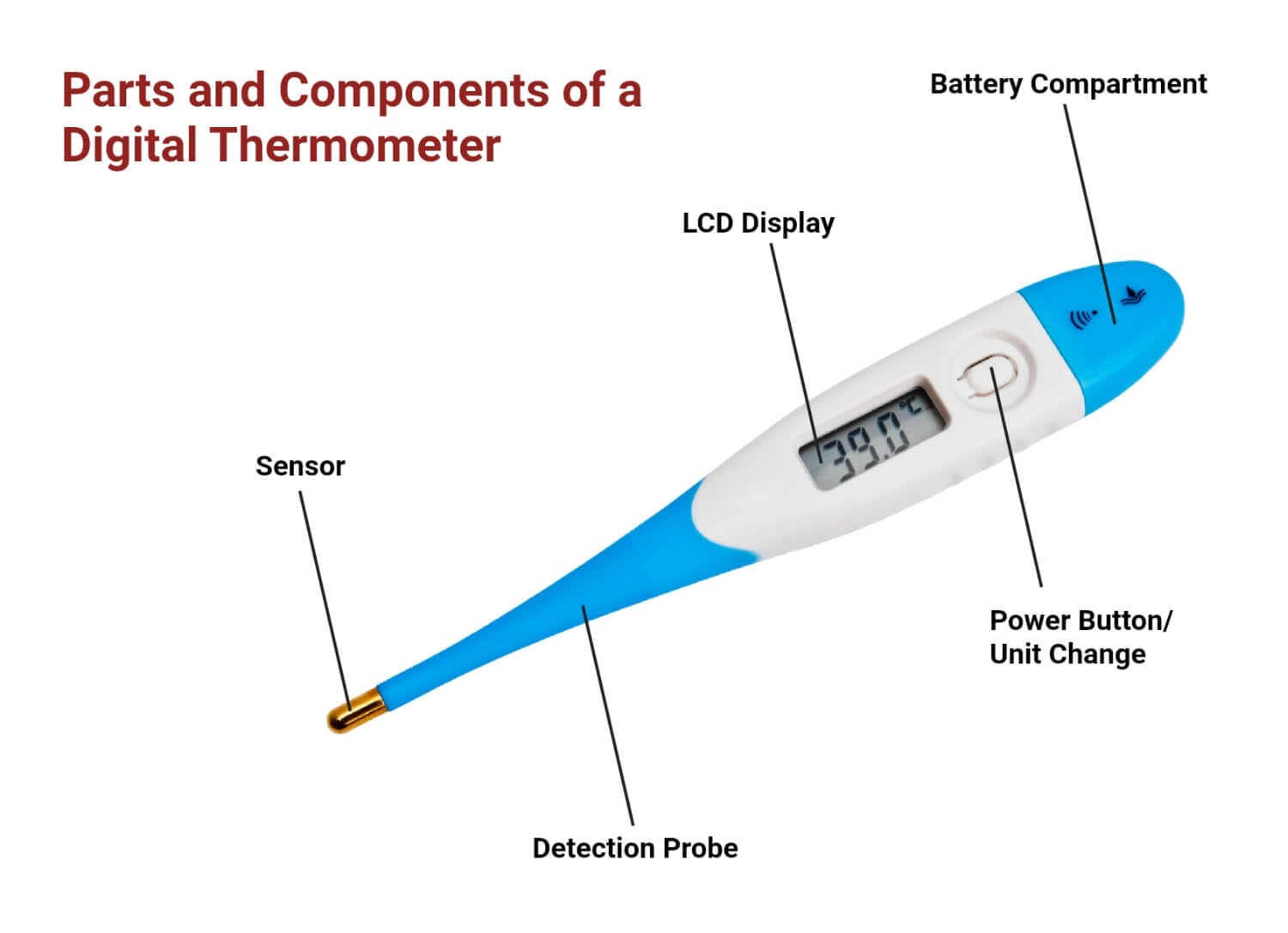 Parts and Components of a Digital Thermometer Parts and Components of a Digital Thermometer