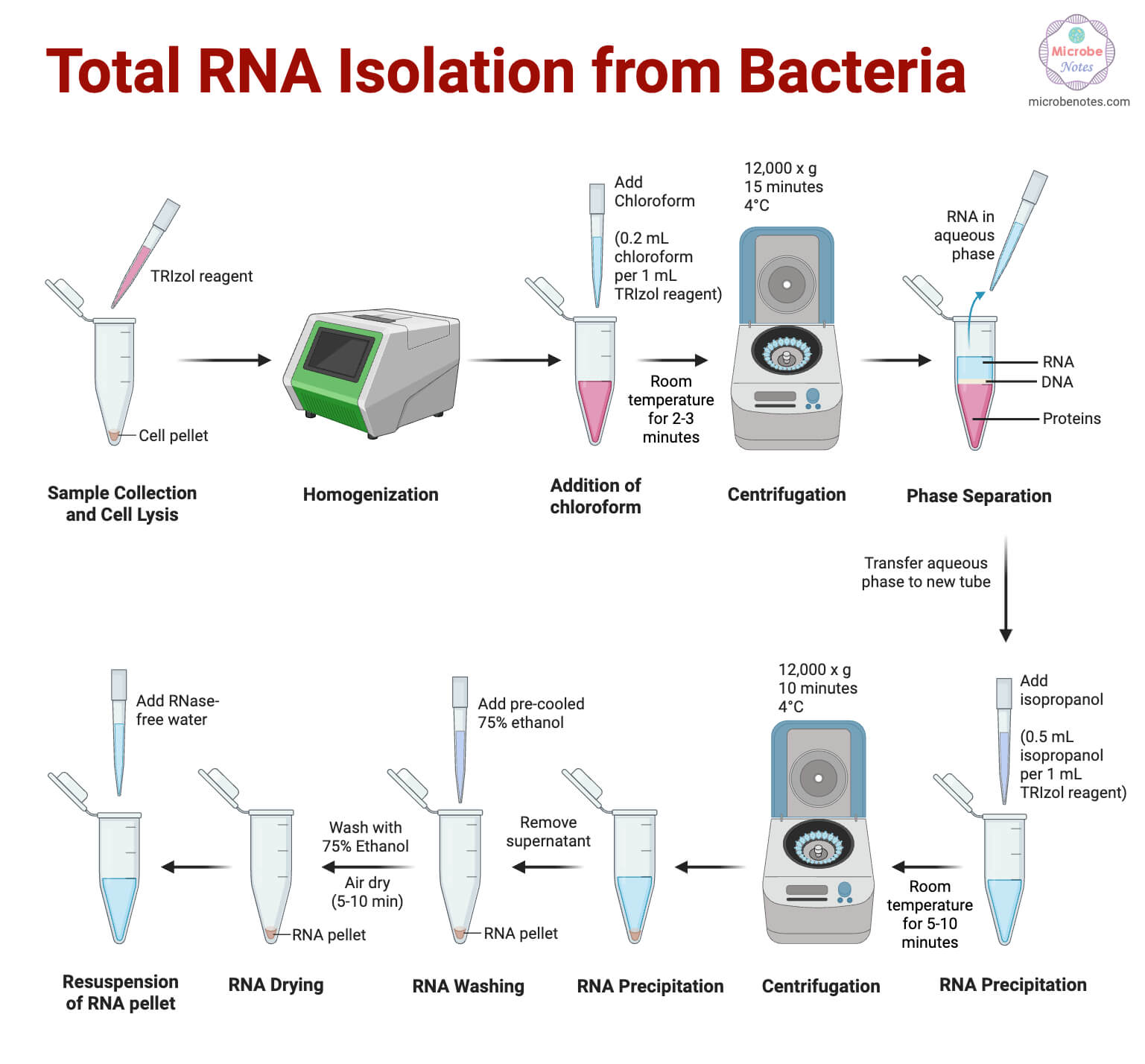 Total RNA Isolation from Bacteria Steps Total RNA Isolation from Bacteria Steps