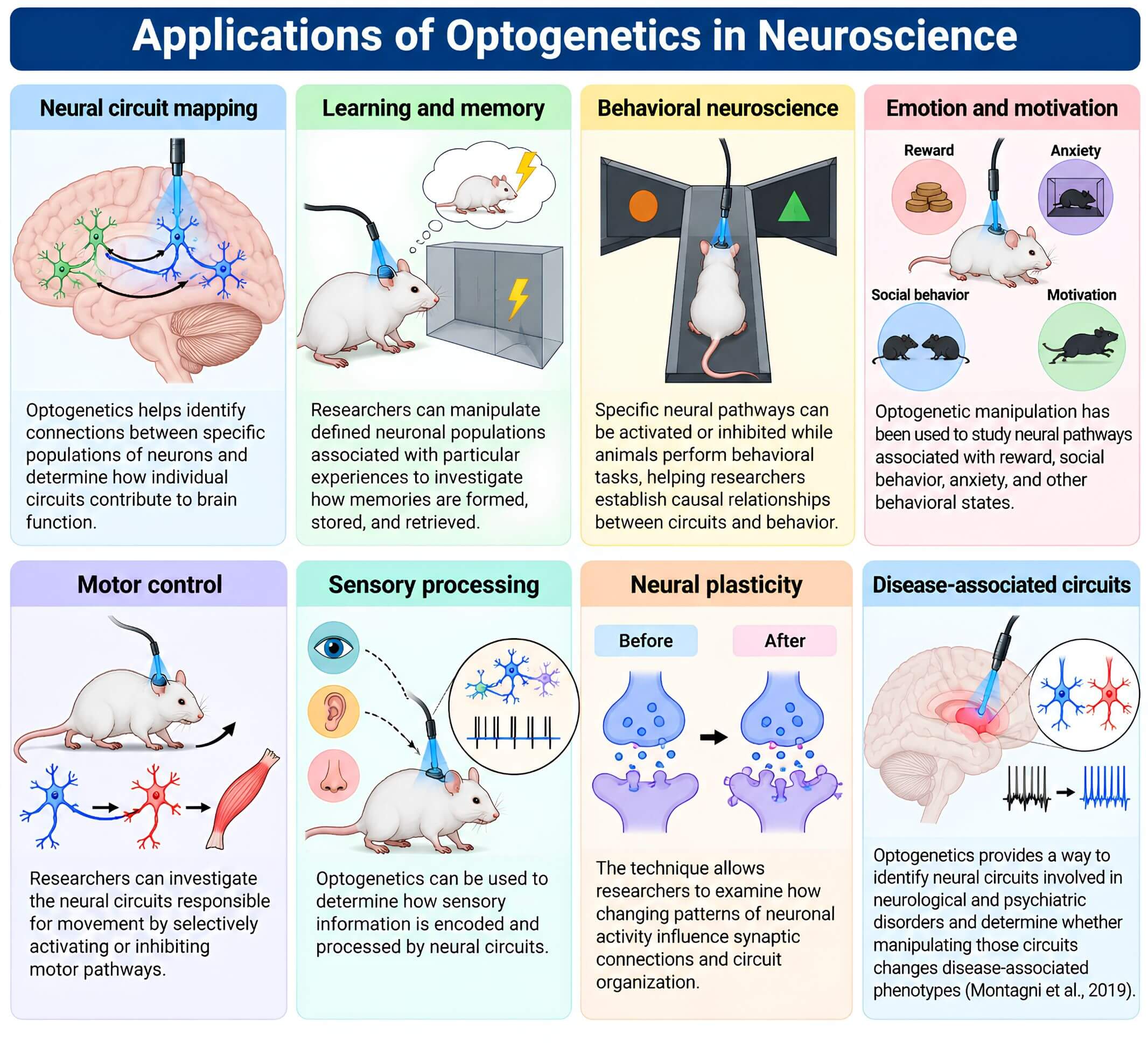 Applications of Optogenetics in Neuroscience Applications of Optogenetics in Neuroscience