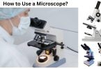 How to Use a Microscope How to Use a Microscope
