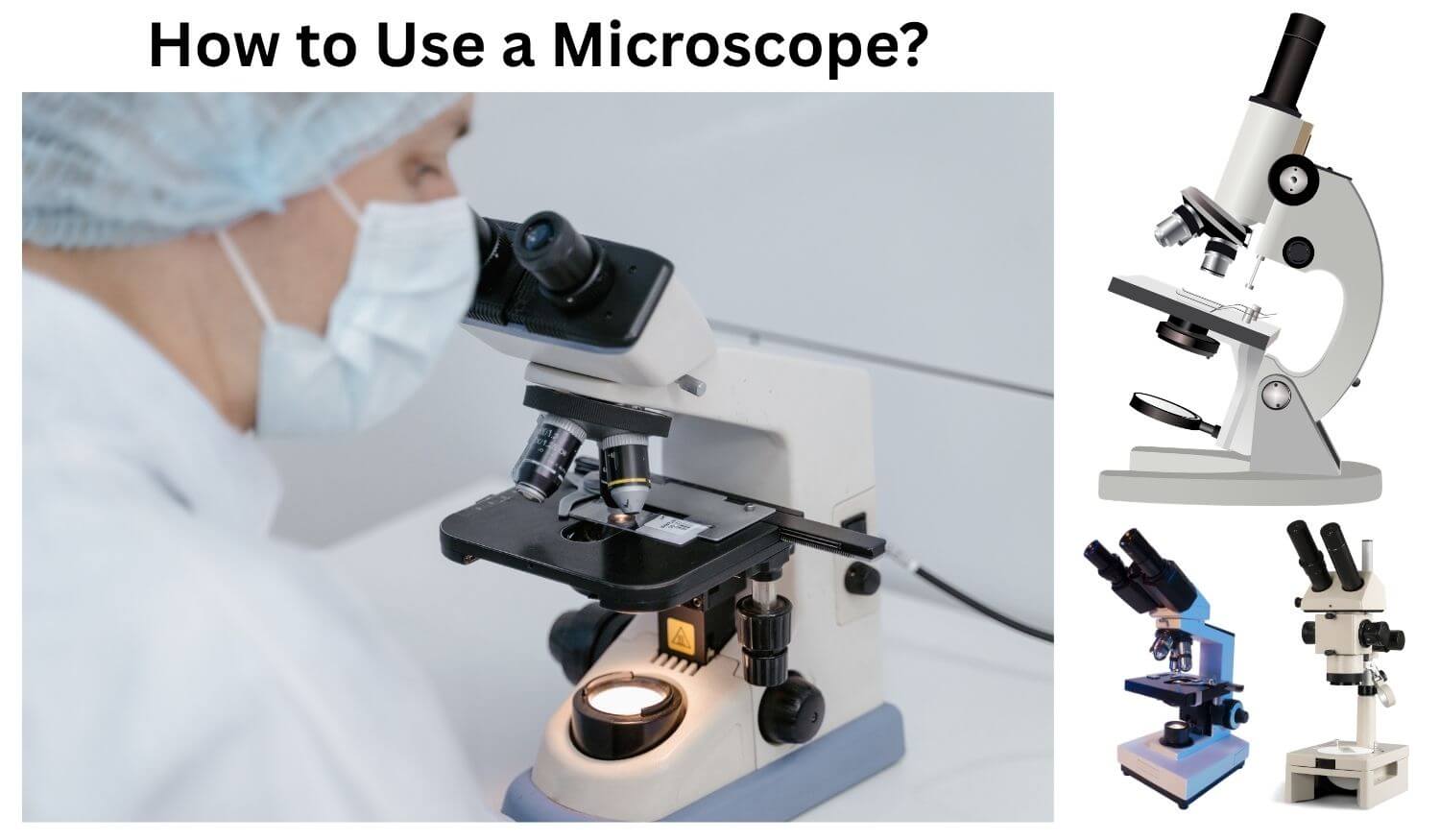 How to Use a Microscope How to Use a Microscope