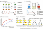image 19 Adaptive Laboratory Evolution (ALE)